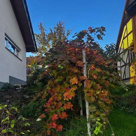 Kleine Auszeit - Ferienwohnung Heideberg - "Rhein" In Den Urlaub Bacharach Exterior photo