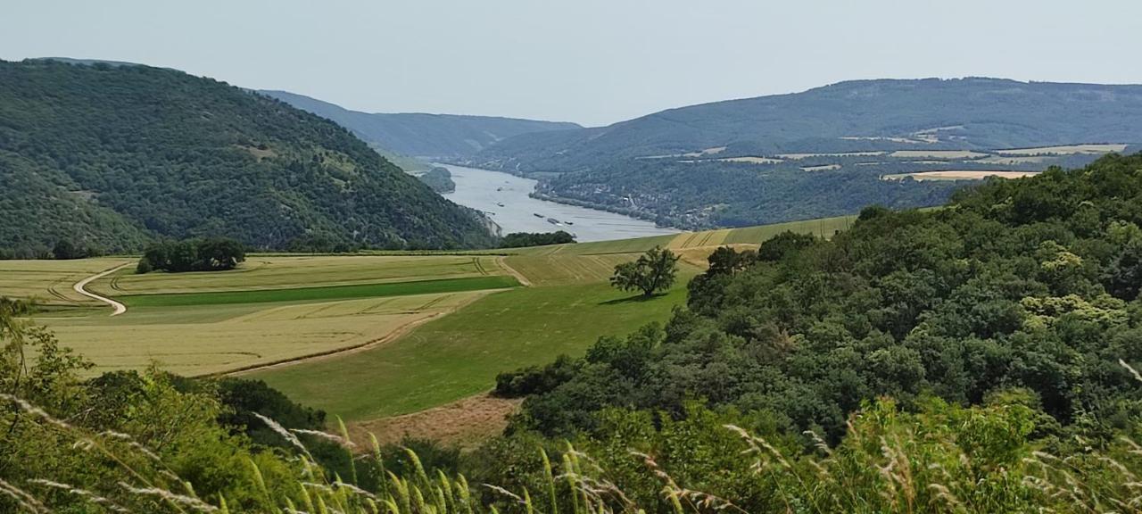 Kleine Auszeit - Ferienwohnung Heideberg - "Rhein" In Den Urlaub Bacharach Exterior photo